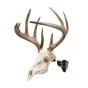 Allen-EZ-Mount-Trophy-Skull-Hanger-Brown