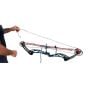 Avalon Speedy Portable Bow Press