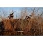 Avery RealGrass Natural Camo Grass Mats 4/Pack | Londero Sports