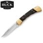 Buck 110 Folding Hunter Knife