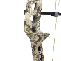 bear-archery-whitetail-legend-pro-rh-60-compound-bow