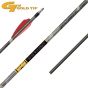 Flèche de Chasse Gold Tip Black Label