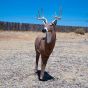 Delta McKenzie Blemished Bloodline Buck XL 3D Archery Target