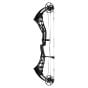 arc-Bowtech-Virtue-60-lb-Tac-Black-Bow