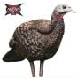 AvianX-LCD-Breeder-Hen-Decoy