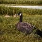 ferox-fully-flocked-canada-goose-silhouette-decoys-12-pack
