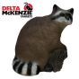 Cible 3D de tir à l’arc Delta McKenzie Raccoon