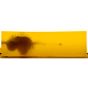 Munitions Federal Fusion Rifle 6.5 PRC 140 gr FSP 20/pqt