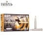 Federal Trophy Bonded Tip 30-06 Springfield 180 gr Trophy Bonded Tip Ammunition 20/Box