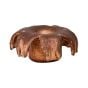 Federal Trophy Copper Sabot Slug 20 ga 2.75'' 5/8 oz Trophy Copper 5/Box Ammunition