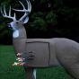 Cible-de-tir-GlenDel-Full-Rut-Buck-3D