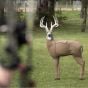 Cible-de-tir-GlenDel-Full-Rut-Buck-3D