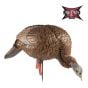 HDR-Feeding-Hen-Decoy