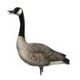 Avian X-Honkers-Fusion-Pack-Decoys
