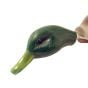 Dokken's-Deadfowl-Mallard-Trainer-Duck