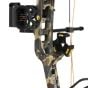 Bear-Species-LH-Compound-Bow