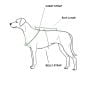 mil-plex-k-9-m-o-l-l-e-dog-vest