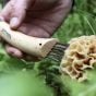 Opinel N°08 Mushroom-Knife
