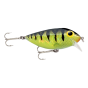Leurre Rapala Original ThinFin 2 1/2" 1/5 oz
