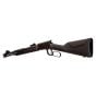 Carabine Rossi Rio Bravo 22 LR 18"