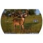 TenPoint Vision HD Digital Rangefinding Crossbow Scope