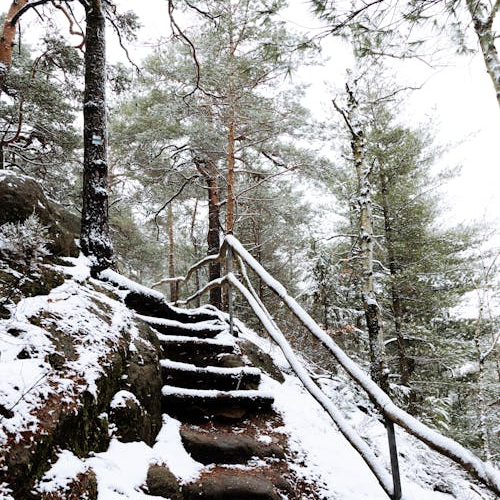 Outdoor stairs cover with snow in the wood