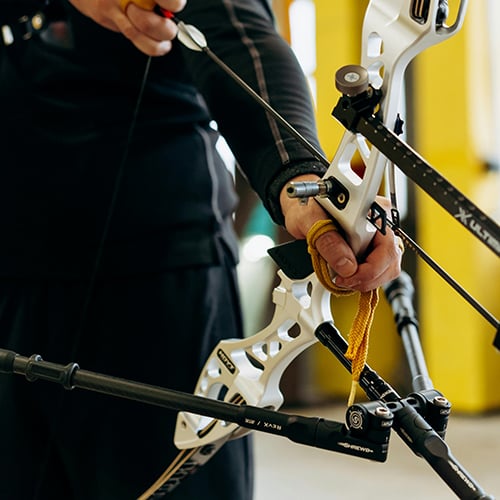 Compound Bow vs Recurve Bow