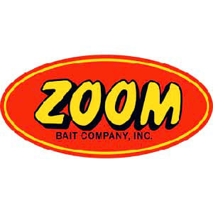 ZOOM