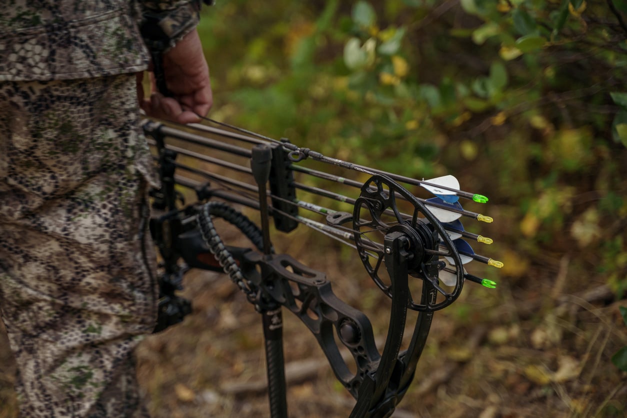 Hunting Bows