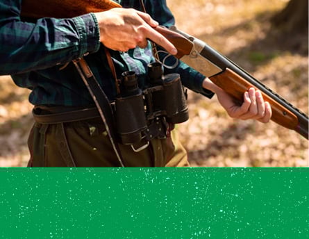 sub-banner1-top